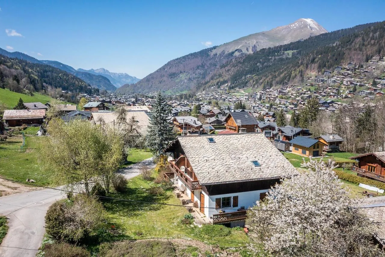 Studio Chenives - Morzine Francie